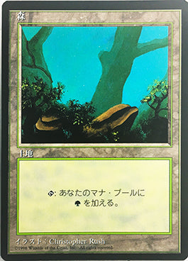 (4ED-CL-FBB)Forest/森 (A)【日本語】