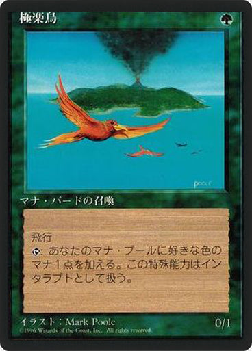 (4ED-RG-FBB)Birds of Paradise/極楽鳥【日本語】
