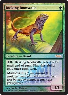 【Foil】(Promo-FNM)Basking Rootwalla/日を浴びるルートワラ【英語】