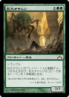 (GTC-MG)Giant Adephage/巨大オサムシ【英語】