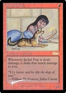 【Foil】(Promo-FNM)Jackal Pup/ジャッカルの仔【英語】