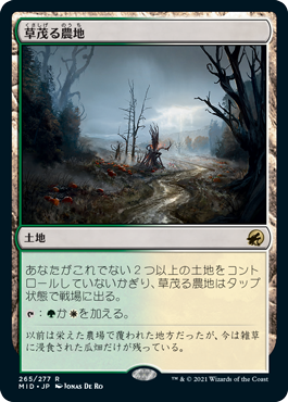 【Foil】(MID-RL)Overgrown Farmland/草茂る農地【日本語】