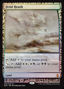 (EXP-ML)Fetid Heath/悪臭の荒野【英語】