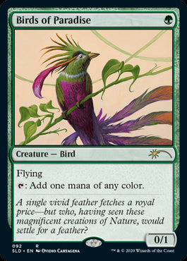 (SLD-RG)Birds of Paradise/極楽鳥【英語】