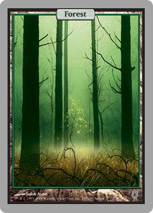 (UNH-CL)Forest/森【英語】