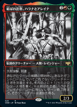 【Foil】【永遠の夜】(VOW-RM)Halana and Alena, Partners/結ばれた者、ハラナとアレイナ【日本語】