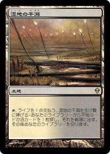 【Foil】(ZEN-RL)Marsh Flats/湿地の干潟【英語】