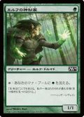 (M14-CG)Elvish Mystic/エルフの神秘家(JP,EN)