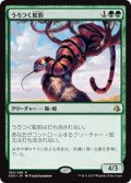 (AKH-RG)Prowling Serpopard/うろつく蛇豹(英,EN)
