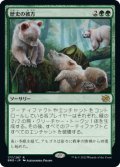 (BRO-RG)Fade from History/歴史の彼方(日,JP)