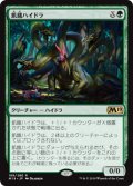 (M19-RG)Hungering Hydra/飢餓ハイドラ(英,EN)