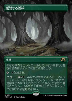 画像1: 【ボーダーレス】(MH3-RL)Shifting Woodland/変容する森林【No.0357】(日,JP)