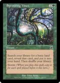 (SCG-CG)Sprouting Vines/芽吹くツタ(英,EN)