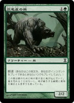 画像1: 【Foil】(TSP-CG)Ashcoat Bear/灰毛皮の熊(英,EN)