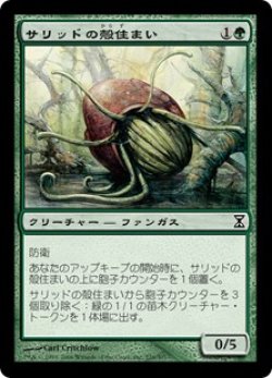 画像1: 【Foil】(TSP-CG)Thallid Shell-Dweller/サリッドの殻住まい(英,EN)