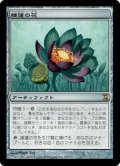 【Foil】(TSP-RA)Lotus Bloom/睡蓮の花(日,JP)