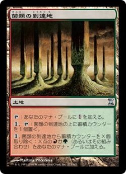 画像1: 【Foil】(TSP-UL)Fungal Reaches/菌類の到達地(日,JP)