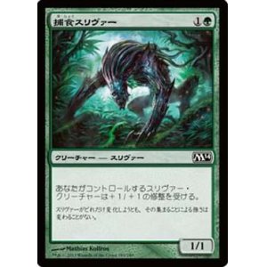 画像: $FOIL$（M14-CG)Predatory Sliver/捕食スリヴァー(日,JP)