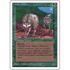 画像: (2ED-RG)Timber Wolves/森林狼