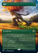 画像: 【Foil】(2XM-Box_Topper-RG)Crop Rotation/輪作(日,JP)