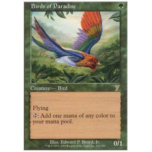 画像: (7ED-R)Birds of Paradise/極楽鳥(JP)