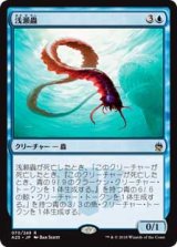 画像: (A25-RU)Reef Worm/浅瀬蟲(英,EN)