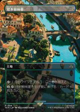 画像: 【ボーダーレス・シーン】(ACR-RL)Waterlogged Grove/冠水樹林帯(日,JP)