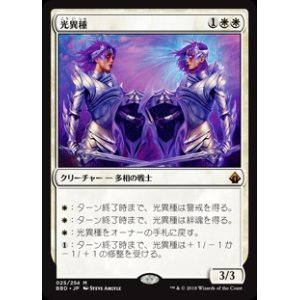 画像: (BBD-MW)Brightling/光異種(日,JP)