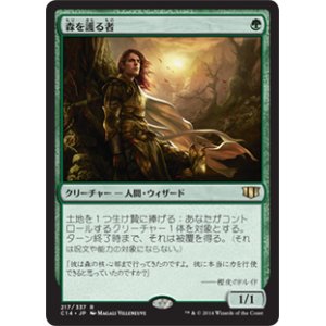 画像: (C14-RG)Sylvan Safekeeper/森を護る者(日,JP)