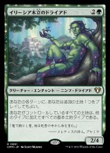 画像: (CMM-RG)Dryad of the Ilysian Grove/イリーシア木立のドライアド (No.891)(日,JP)