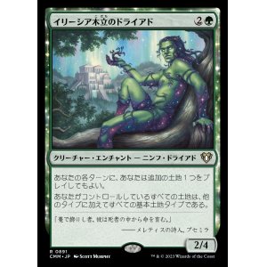 画像: (CMM-RG)Dryad of the Ilysian Grove/イリーシア木立のドライアド (No.891)(日,JP)