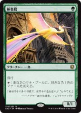 画像: (CN2-RG)Birds of Paradise/極楽鳥(JP,EN)