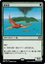 画像: (DMR-RG)Birds of Paradise/極楽鳥(日,JP)