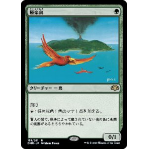 画像: (DMR-RG)Birds of Paradise/極楽鳥(日,JP)