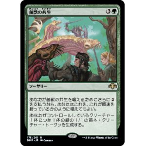 画像: (DMR-RG)Saproling Symbiosis/菌獣の共生(英,EN)