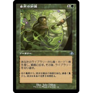 画像: 【FOIL】【旧枠】(DMR-UG)Nature's Lore/自然の知識(日,JP)