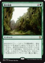 画像: $FOIL$(EMA-RG)Sylvan Library/森の知恵(日,JP)