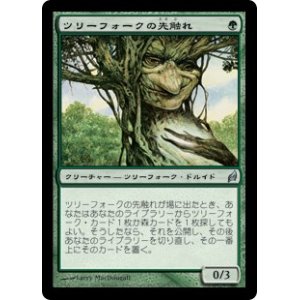 画像: (LRW-UG)Treefolk Harbinger/ツリーフォークの先触れ(英,EN)