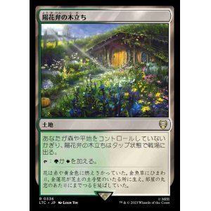 画像: (LTC-RL)Sunpetal Grove/陽花弁の木立ち(日,JP)