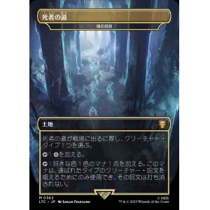 MTGその他セット - ENNDALGAMES買取館 (Page 13)