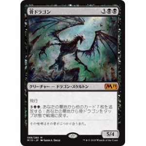 画像: (M19-MB)Bone Dragon/骨ドラゴン(英,EN)