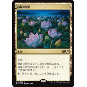 画像: (M20-RL)Lotus Field/睡蓮の原野(日,JP)