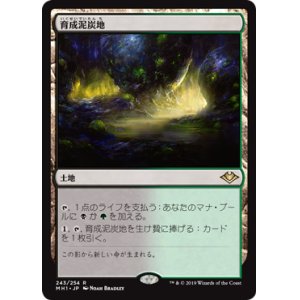 画像: 【Foil】(MH1-RL)Nurturing Peatland/育成泥炭地(日,JP)