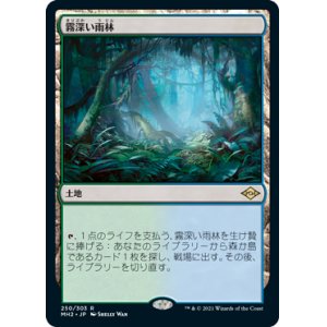 画像: 【Foil】(MH2-RL)Misty Rainforest/霧深い雨林(日,JP)