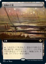 画像: 【拡張アート】(MH2-RL)Marsh Flats/湿地の干潟(日,JP)