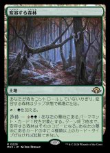 画像: (MH3-RL)Shifting Woodland/変容する森林(日,JP)