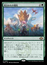 画像: (MH3-RG)Branching Evolution/枝分かれの進化(英,EN)