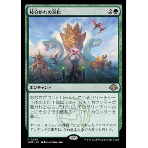 画像: (MH3-RG)Branching Evolution/枝分かれの進化(英,EN)