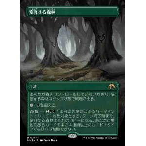 画像: 【ボーダーレス】(MH3-RL)Shifting Woodland/変容する森林【No.0357】(日,JP)