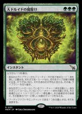 画像: (MKM-RG)Archdruid's Charm/大ドルイドの魔除け(日,JP)